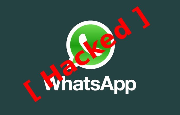 WhatsApp Hack, online, tool