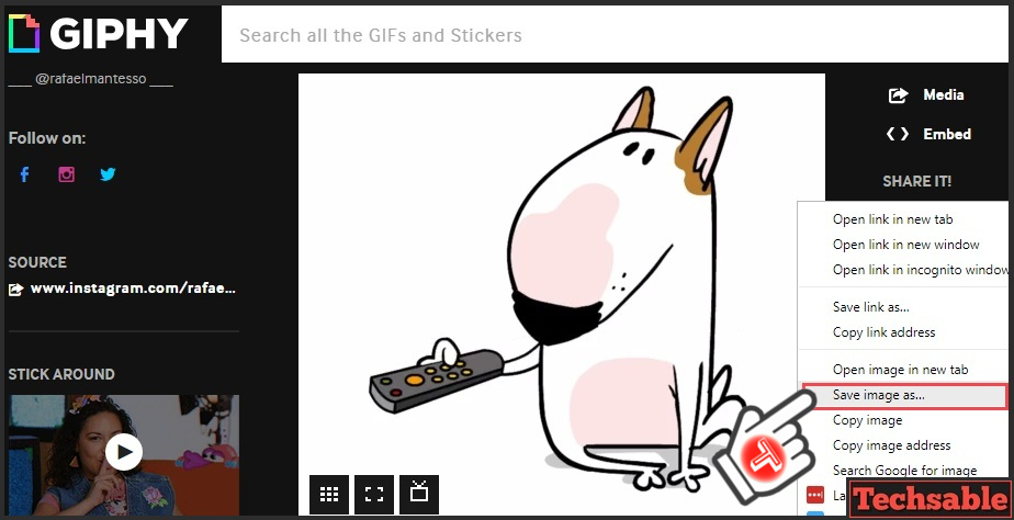How To Download GIF From Giphy On Windows, Android Or IPhone